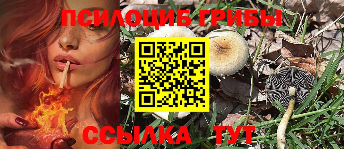 Черкесск  Галлюциногенные грибы Magic Shrooms  Галлюциногенные грибы Magic Shrooms  Вход с VPN 